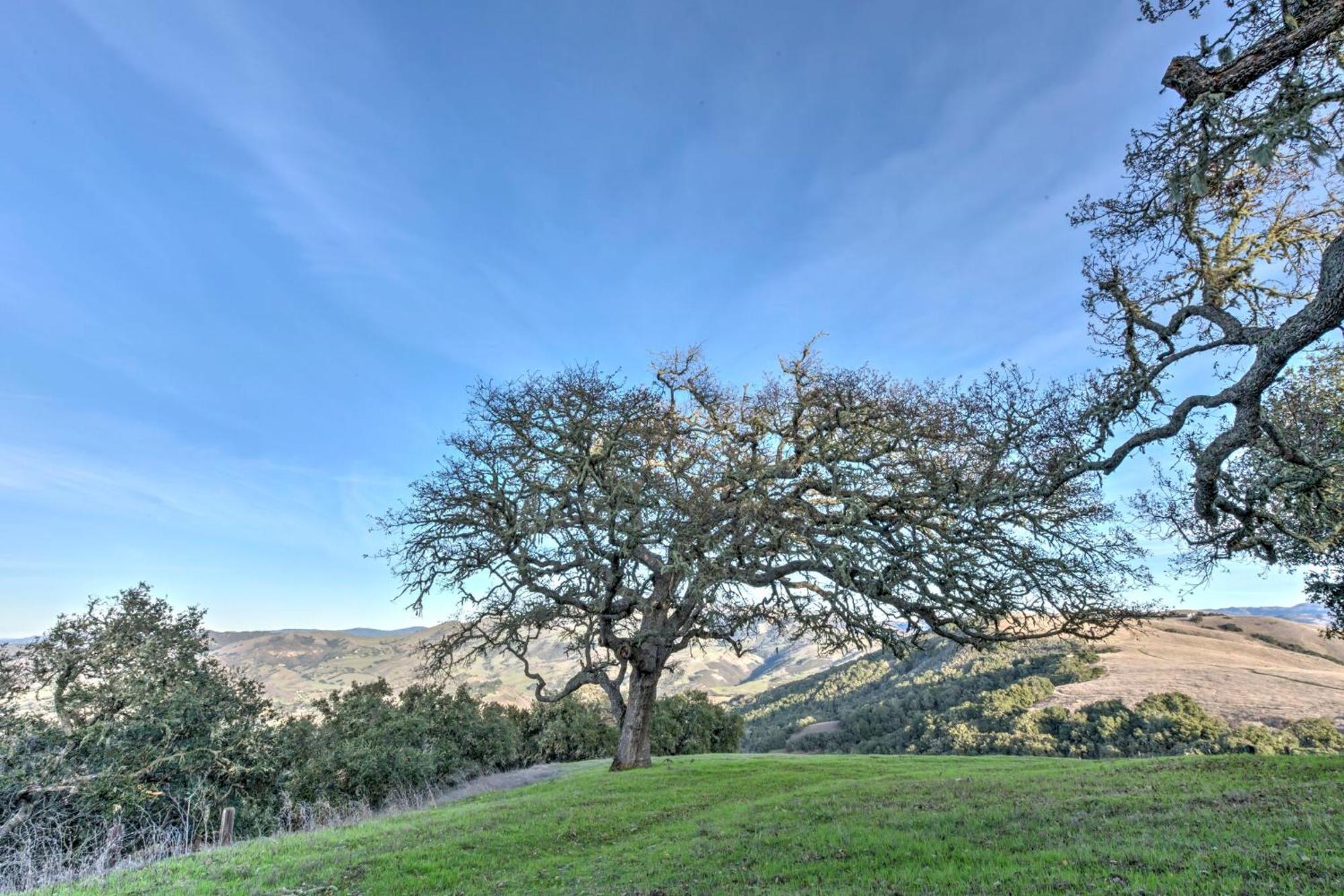 Lx37 Weathertop Ranch In Carmel Wine Country Carmel Valley Exterior foto
